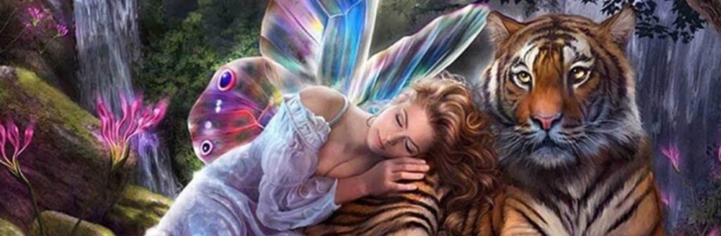 toraramaroさんのバナー画像