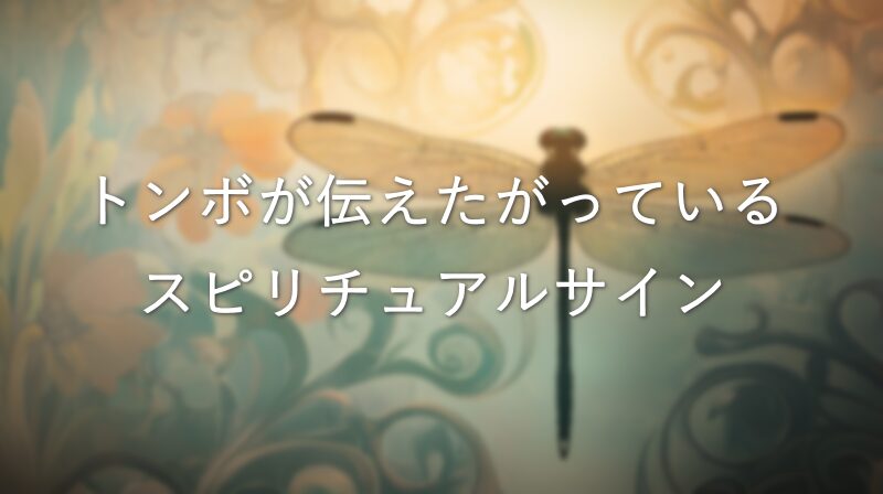 トンボが伝えたがっているスピリチュアルメッセージとは？